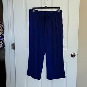 A blue official wide pant with belt